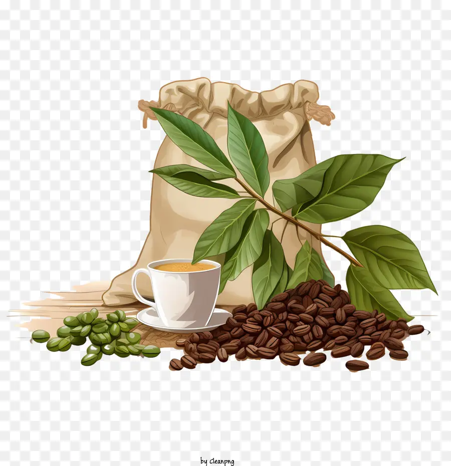 Los Granos De Café，Frijoles Java PNG