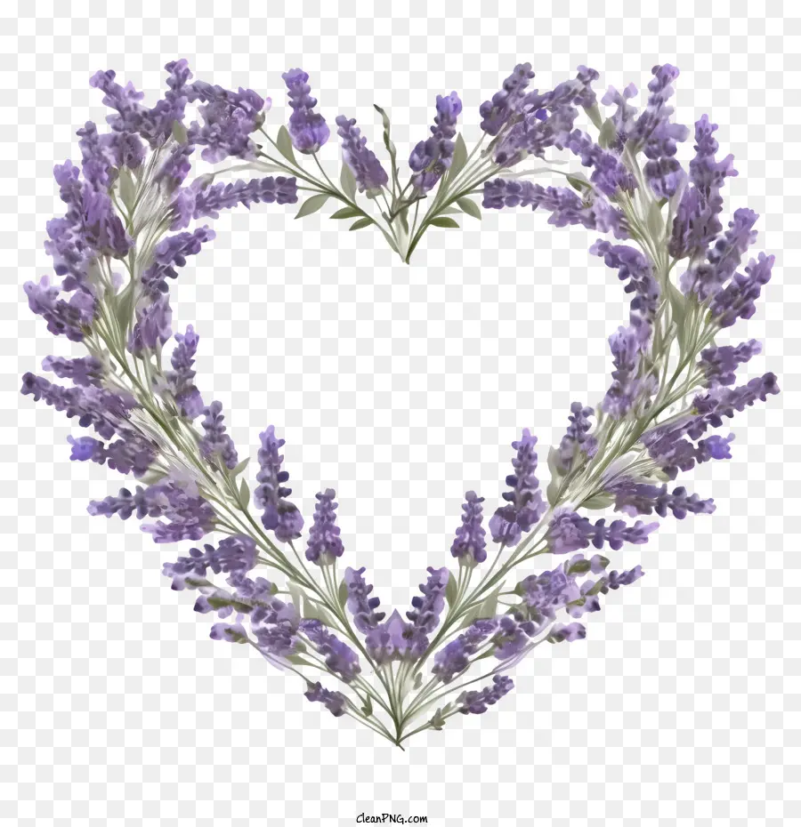 Corona De Lavanda，Corazón De Lavanda PNG