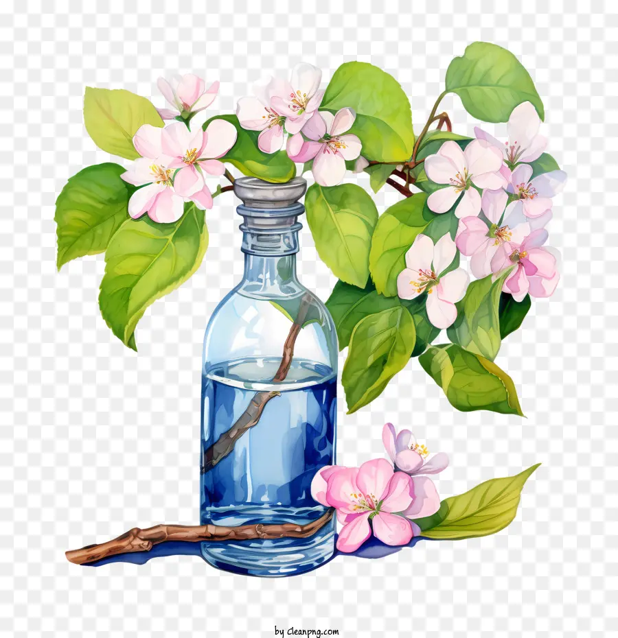 Apple Blossom，Las Flores De La Manzana PNG