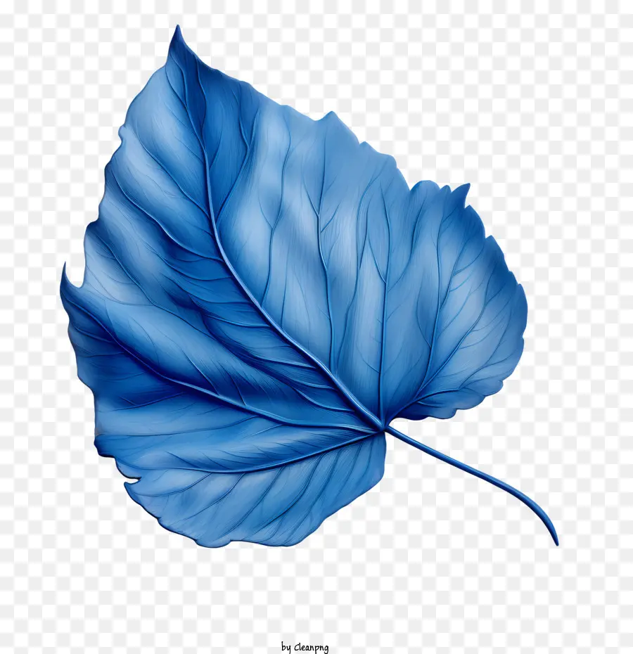 Las Hojas Azules，Acuarela PNG