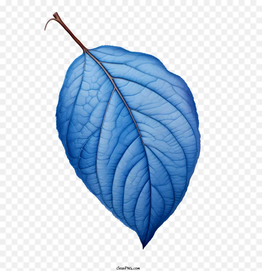 Hojas Azules，Hoja Azul PNG