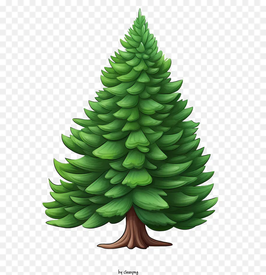 árbol De Hoja Perenne，árbol Verde PNG