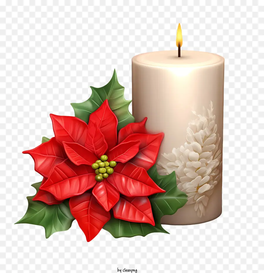 Vela De Navidad，La Flor De Pascua PNG