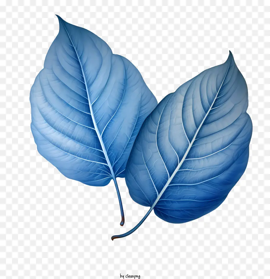 Hojas Azules，Naturaleza PNG