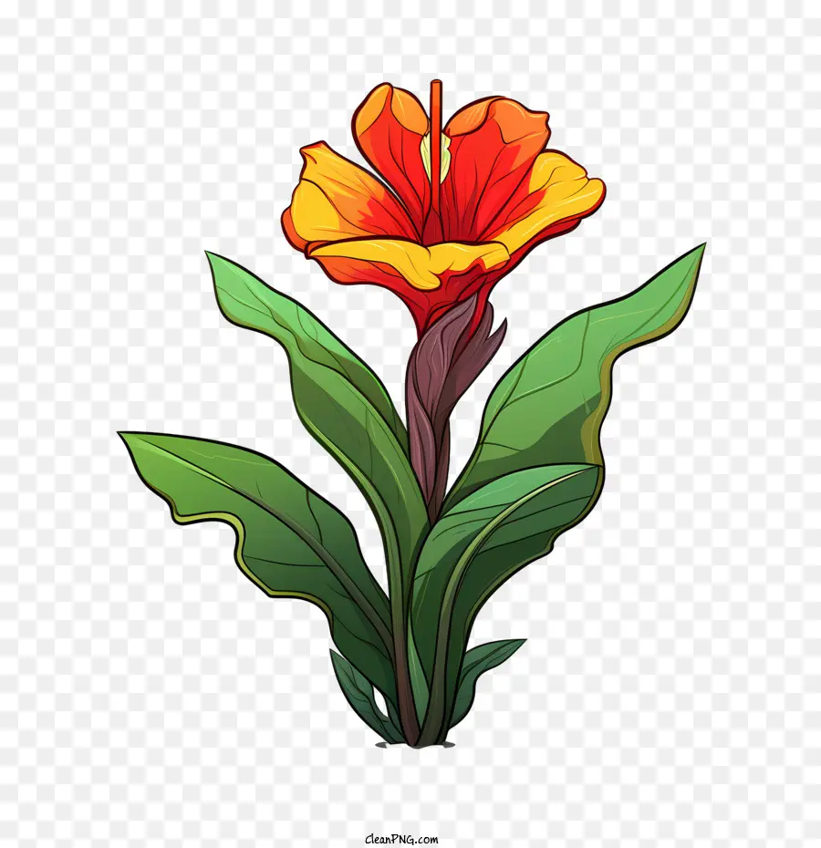 La Barra Indica，Flor PNG