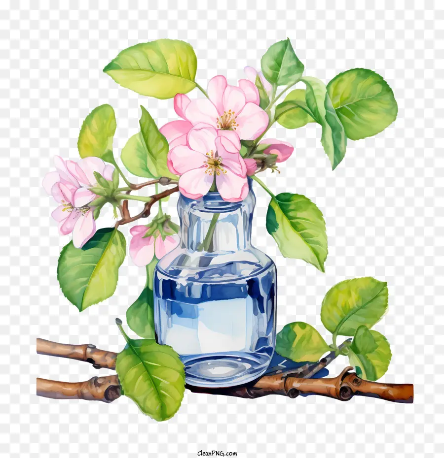 Apple Blossom，Florero PNG