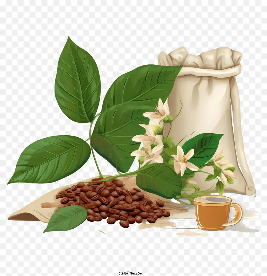 Los Granos De Café，Saco PNG