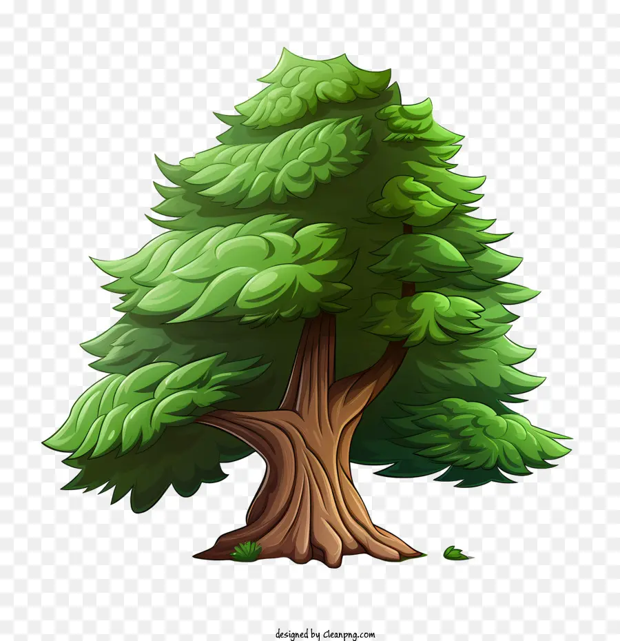 árbol De Hoja Perenne，Árbol PNG