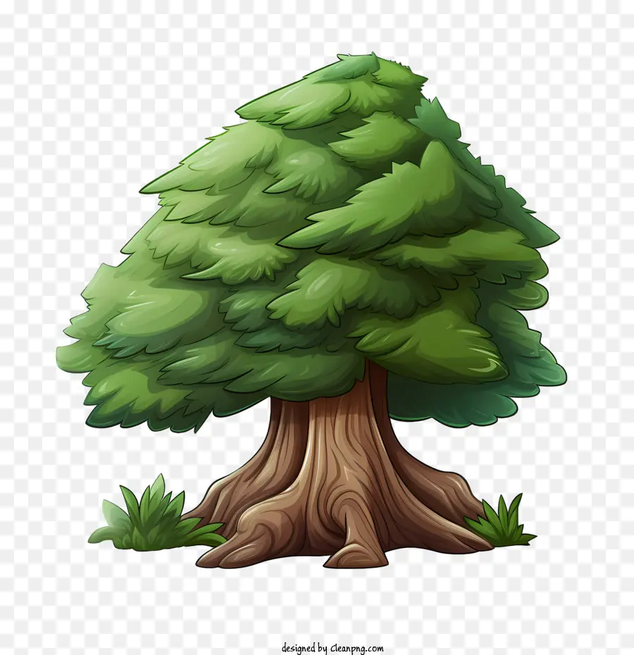 árbol De Hoja Perenne，Árbol PNG