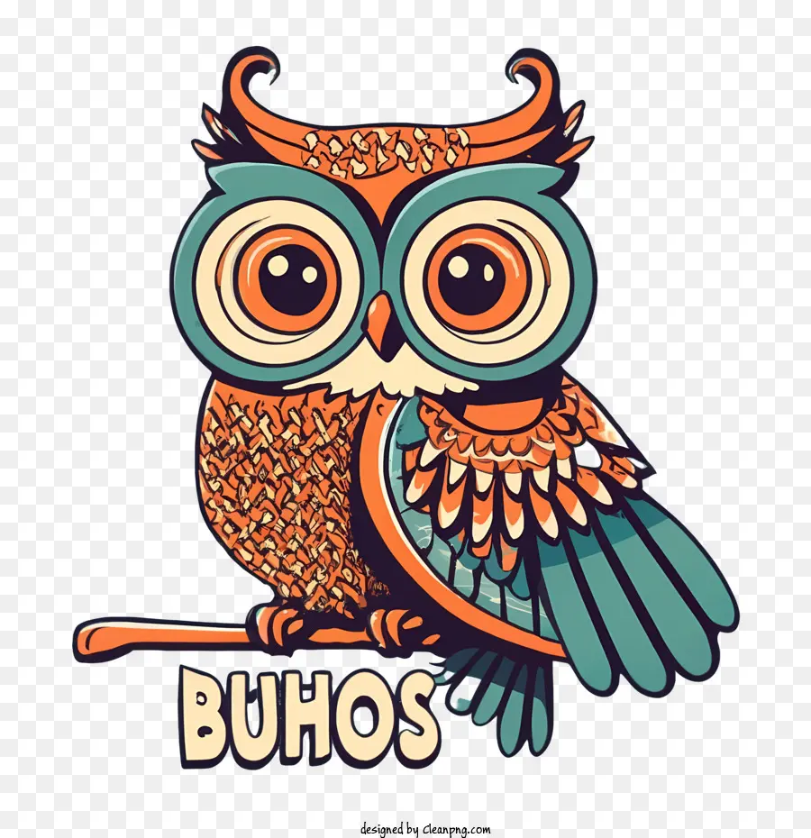 Búho De Dibujos Animados，Búho PNG