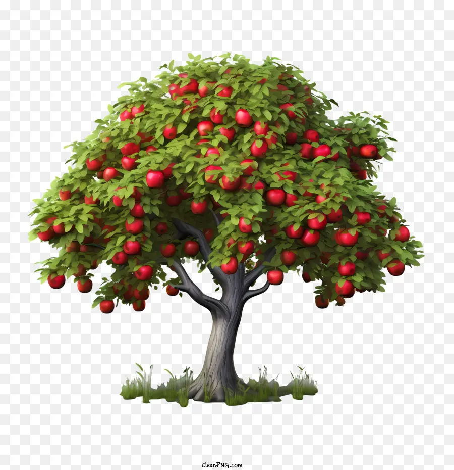 árbol De La Fruta，árbol De Manzana PNG