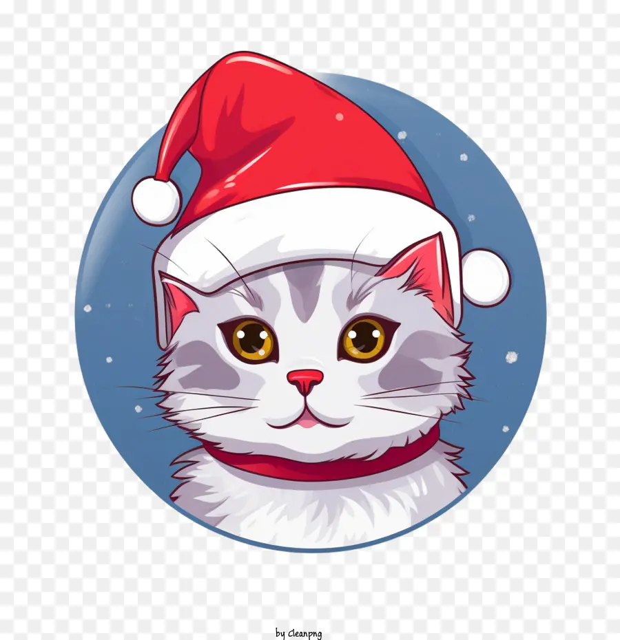 La Navidad Del Gato，Gato PNG