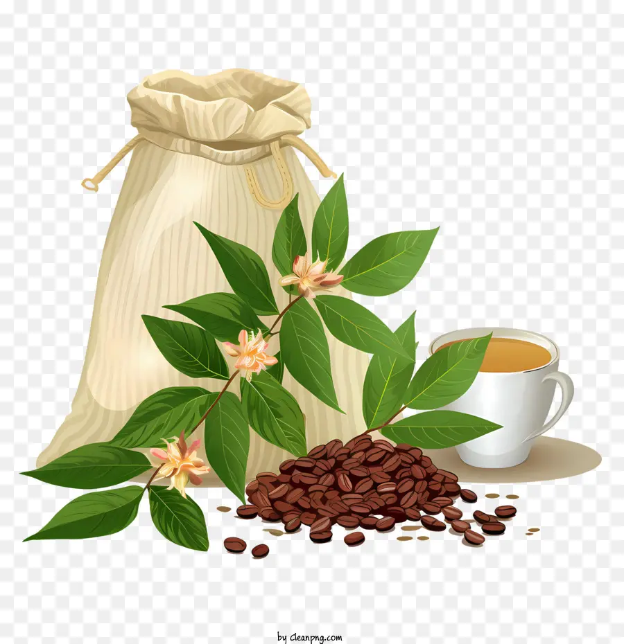 Los Granos De Café，Los Bolsos De Café PNG