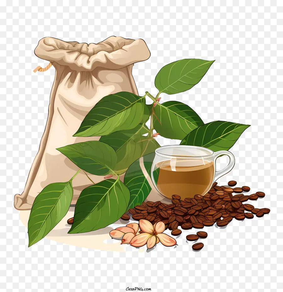 Los Granos De Café，Los Frijoles PNG