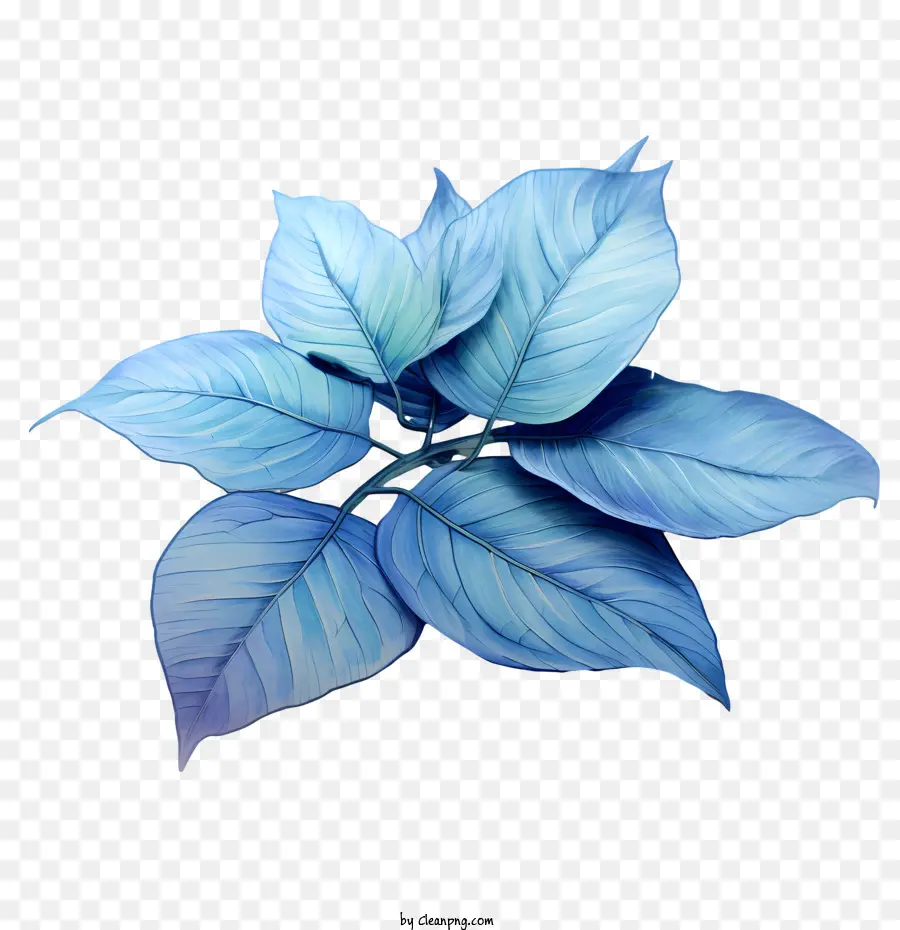 Hojas Azules，Hojas PNG