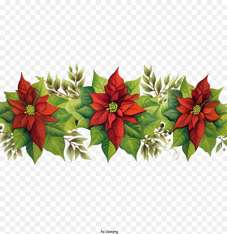 Borde De Flores De Poinsettia，Poinsettias De Navidad PNG