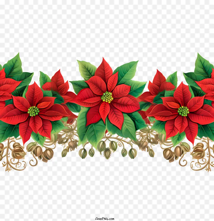 Borde De Flores De Poinsettia，Poinsettias Rojas PNG