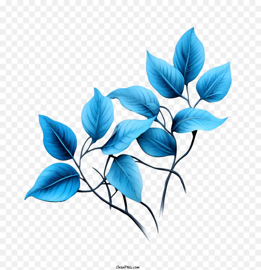 Las Hojas Azules，Ramas PNG