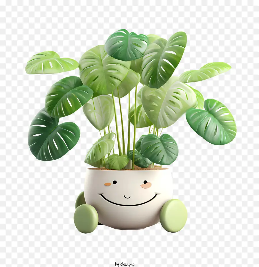 Día De Apreciación De La Planta De Interior，Planta PNG