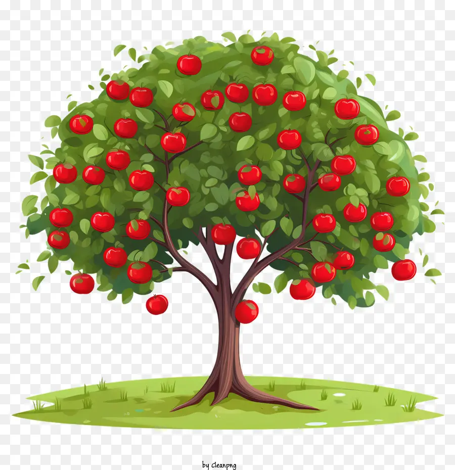 árbol De La Fruta，árbol De Manzana PNG