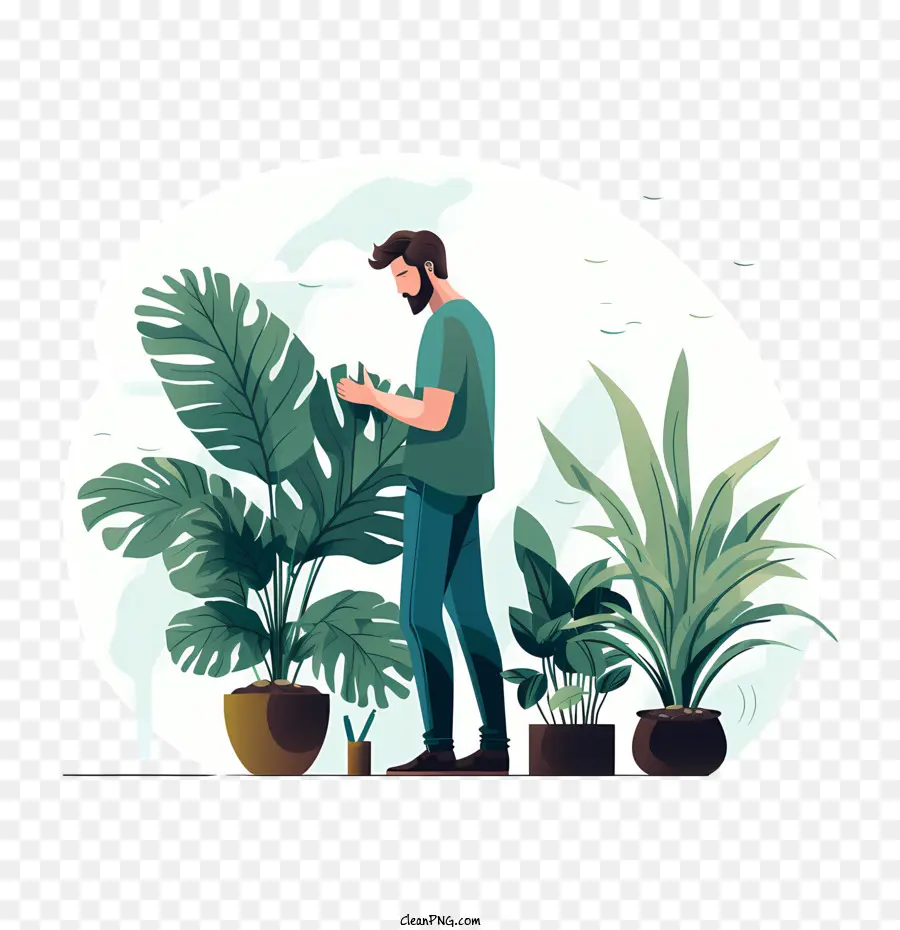 Día De Agradecimiento A Las Plantas De Interior，Hombre Con Plantas PNG