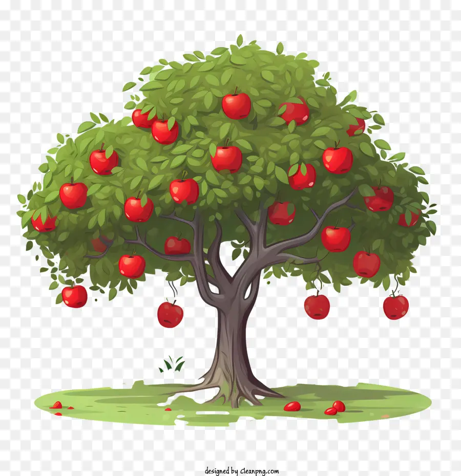 árbol De La Fruta，árbol De Manzana PNG