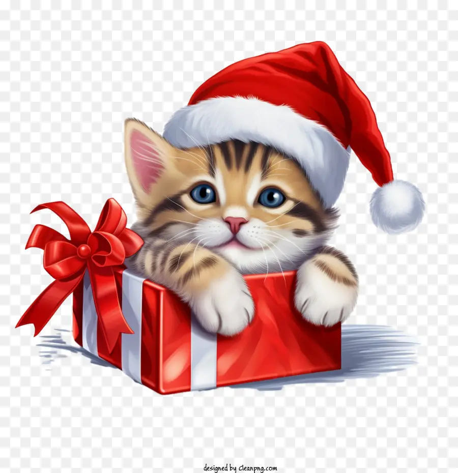 Gato De Navidad，Gatito En Caja De Regalo PNG