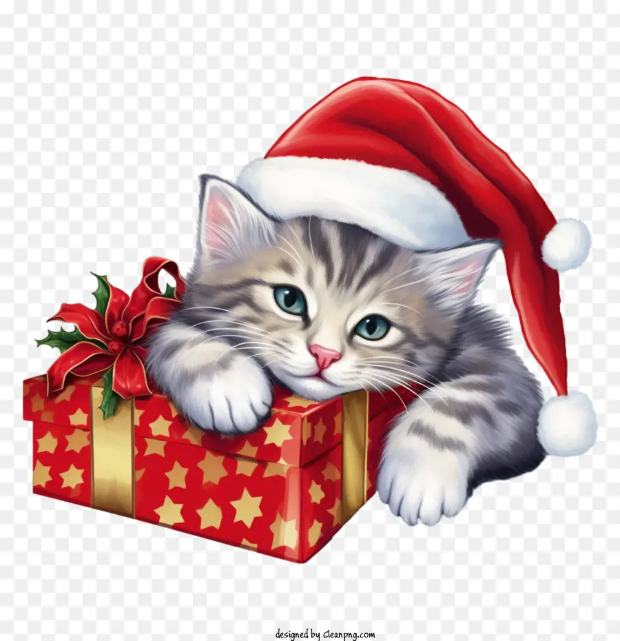 La Navidad Del Gato，Gatito PNG