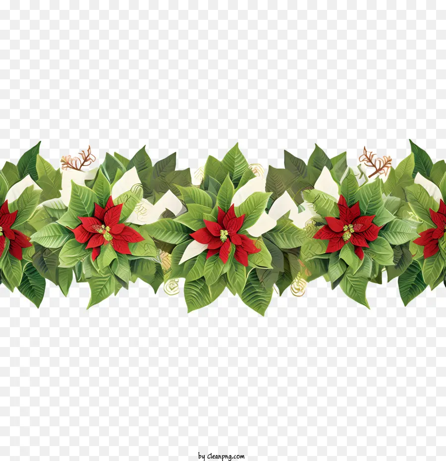 Borde De Flores De Poinsettia，Poinsettia PNG