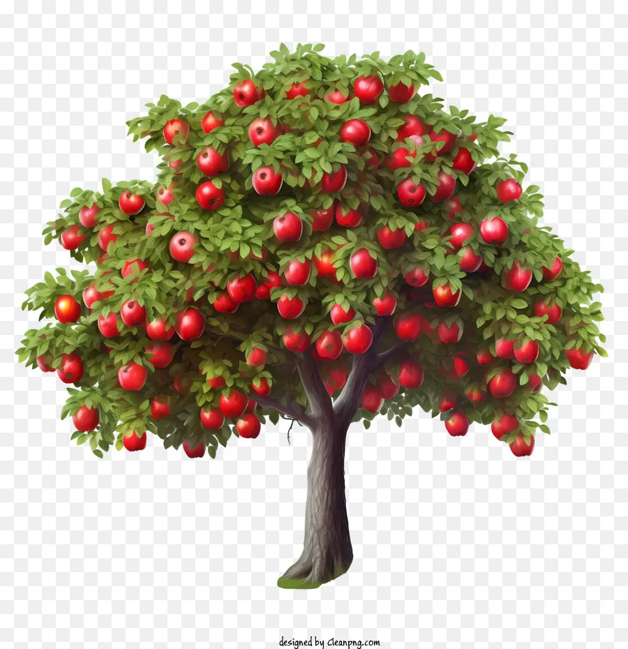 árbol De La Fruta，árbol De Manzana PNG