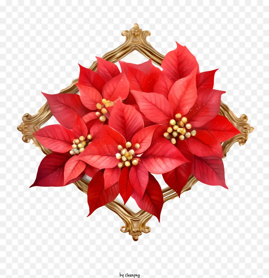 Flor De Pascua，Rojo PNG