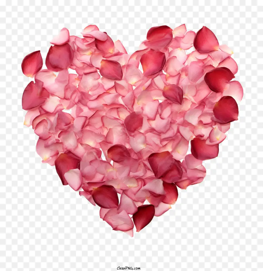 Rose Petals Heart，Corazón PNG