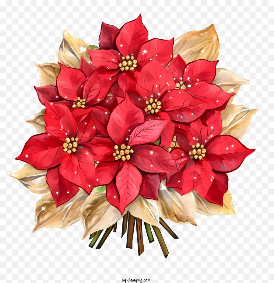 La Flor De Pascua Flor，Poinsettia Roja PNG