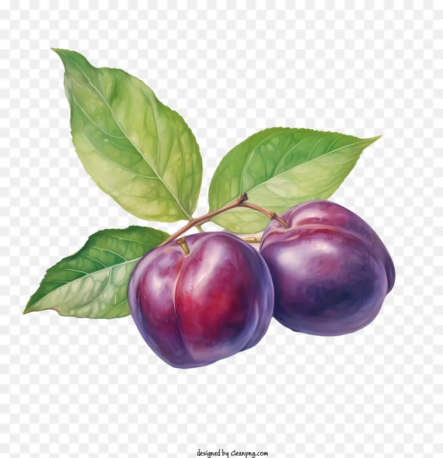 Ciruela，Ciruelas Rojas PNG