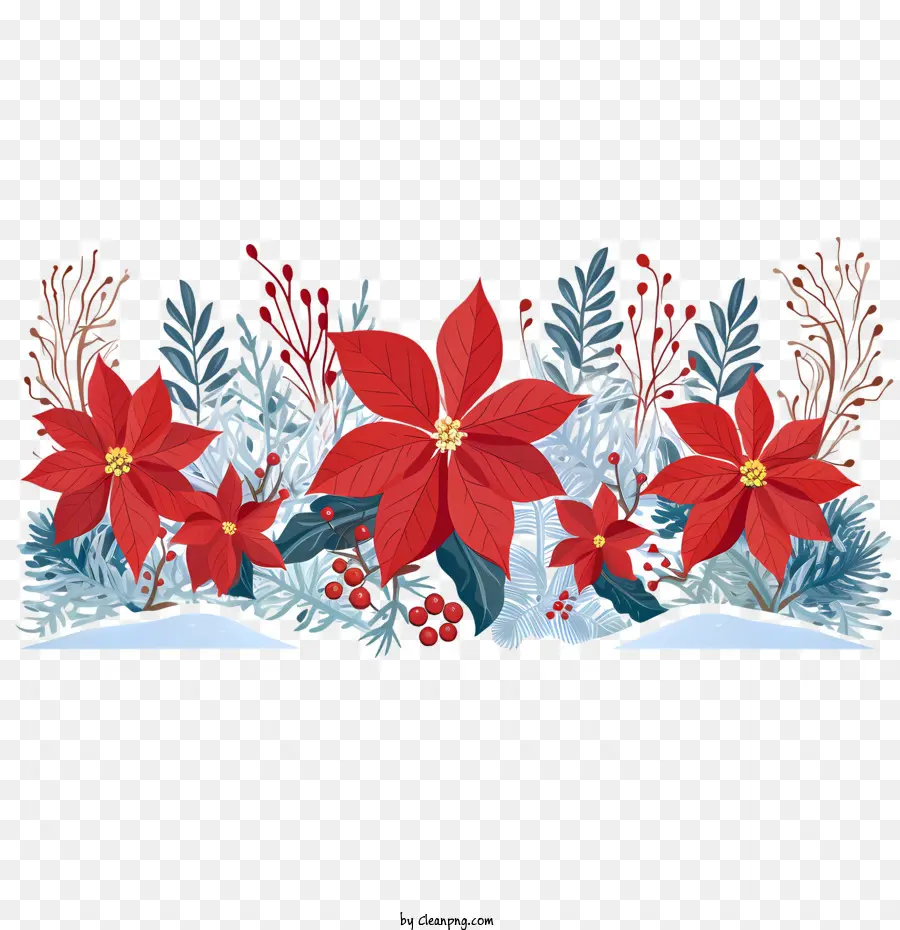 Borde De Flores De Poinsettia，Poinsettia De Navidad PNG