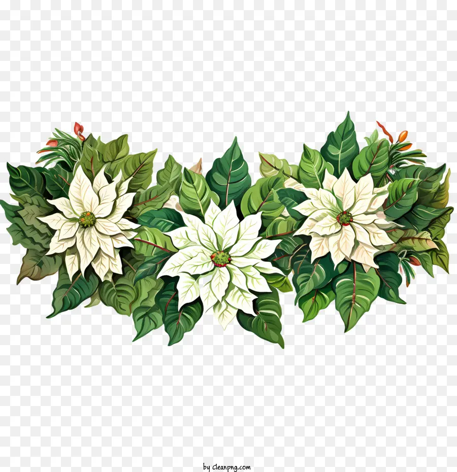 Borde De Flores De Poinsettia，Decoración Navideña PNG