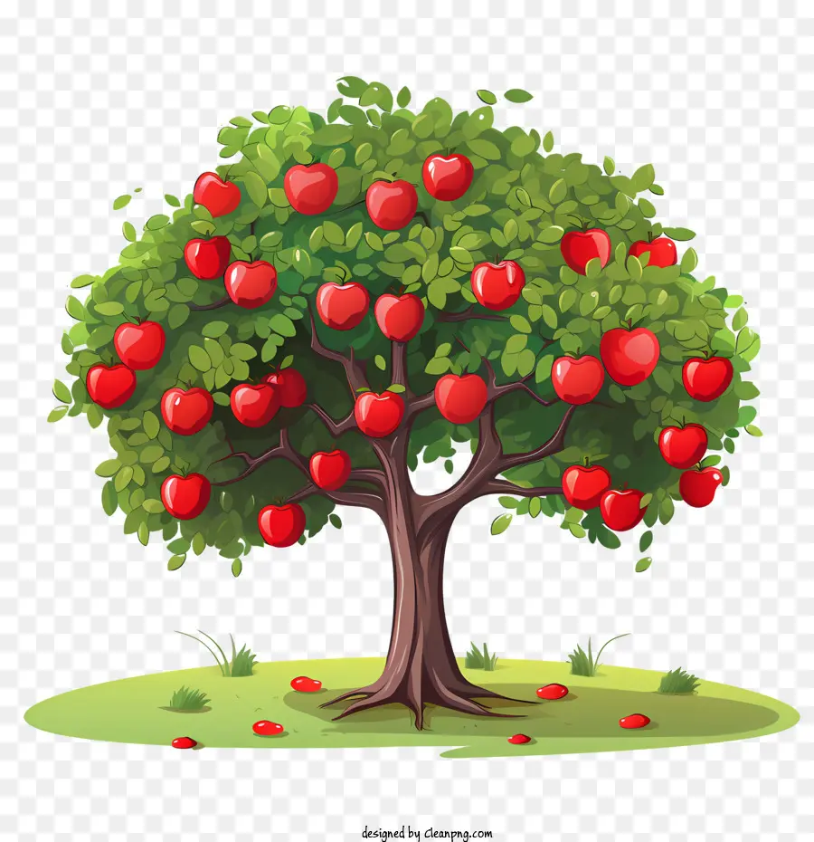 árbol De La Fruta，árbol De Manzana PNG