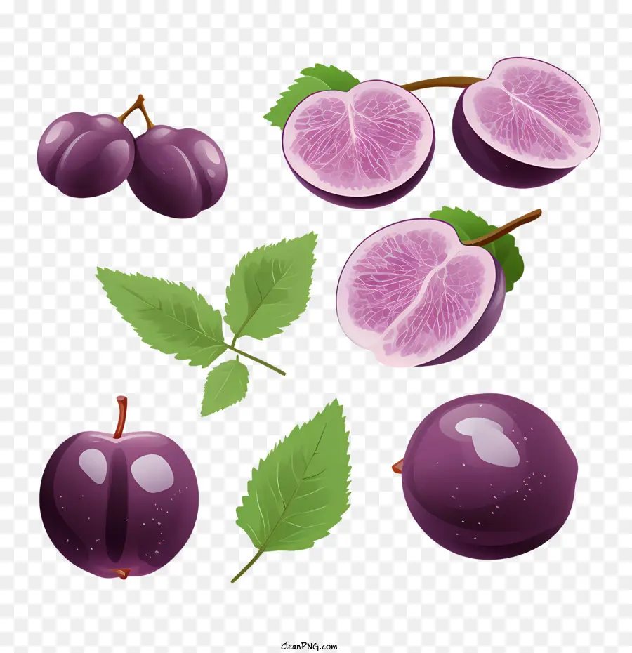 Ciruela，Morado PNG