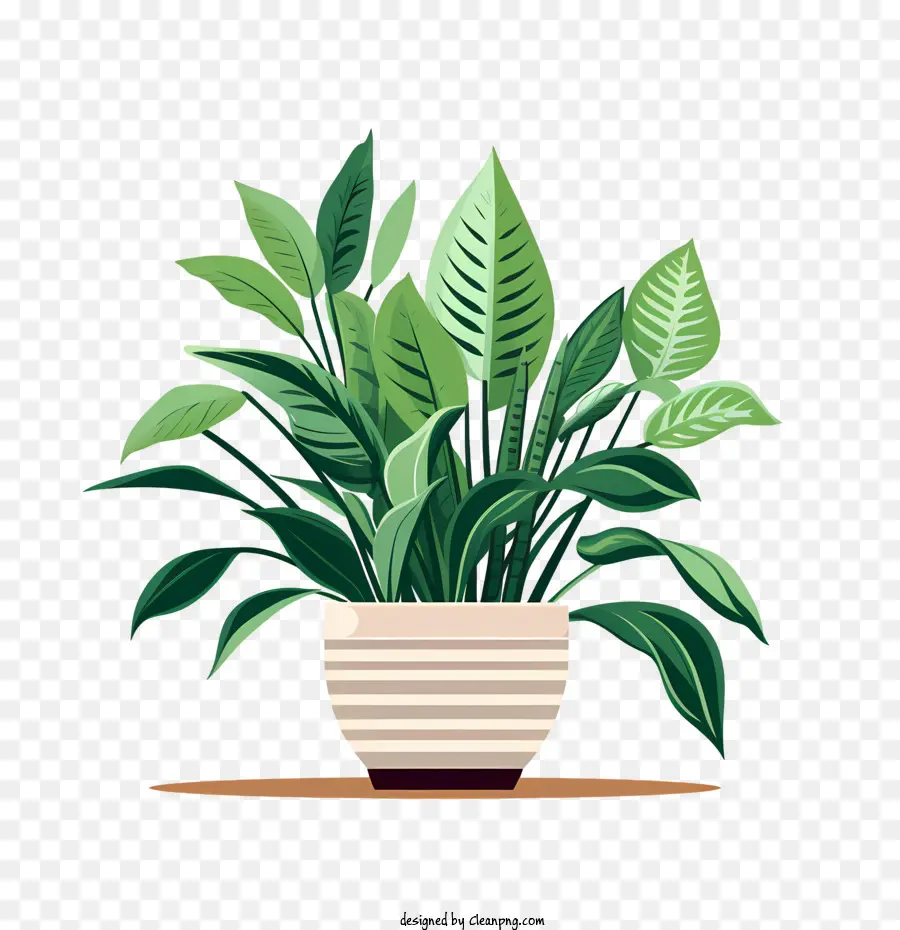 Día De Apreciación De La Planta De Interior，Planta PNG