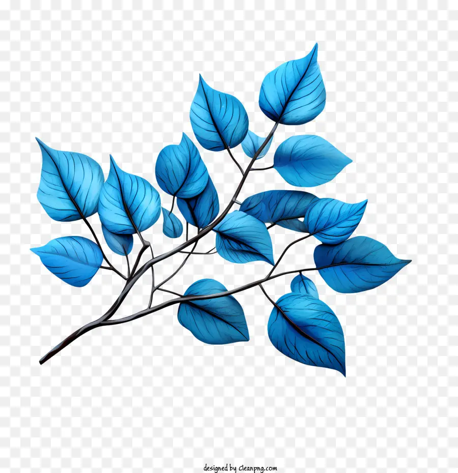 Hojas Azules，Hojas PNG