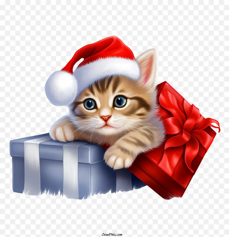 Gato De Navidad，Gatito En Caja De Regalo PNG