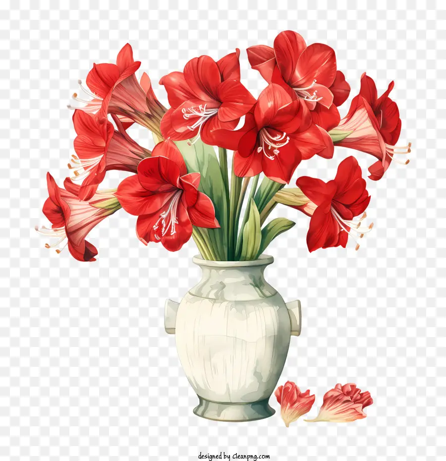 Flor De Amarilis，Gladiolo En Florero PNG