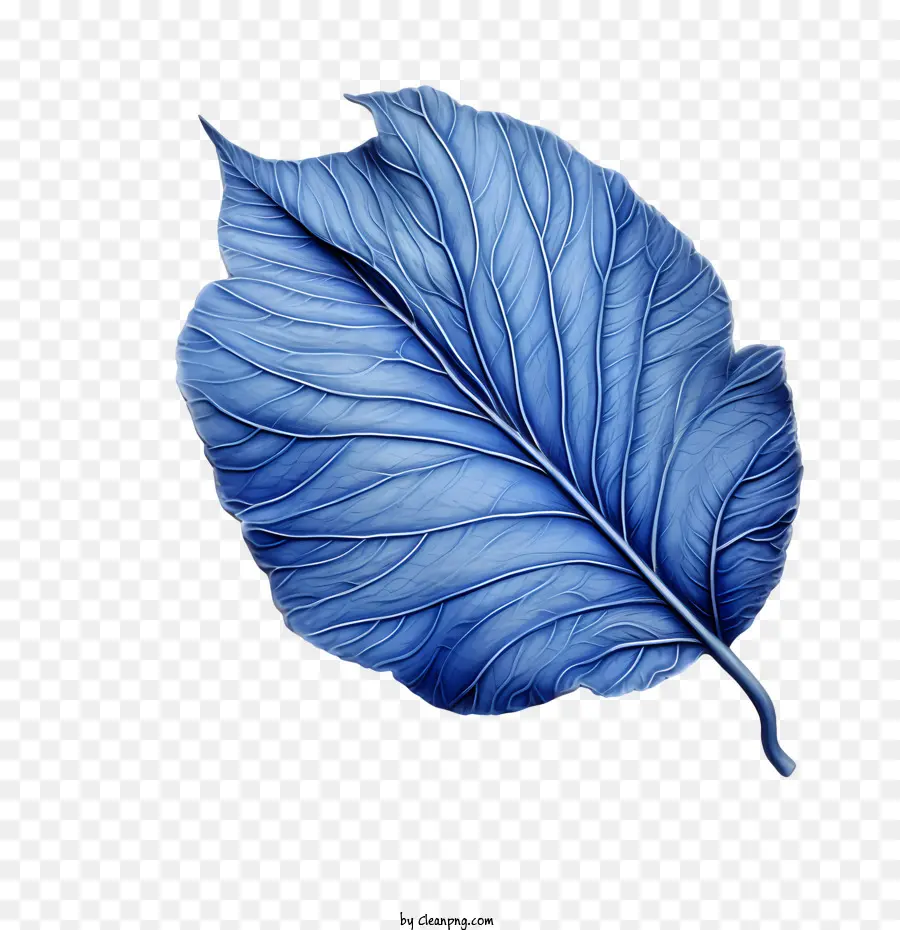 Las Hojas Azules，Hoja PNG