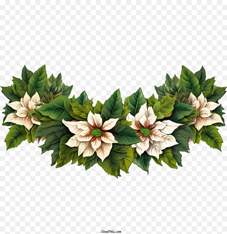 Borde De Flores De Poinsettia，La Flor De Pascua PNG