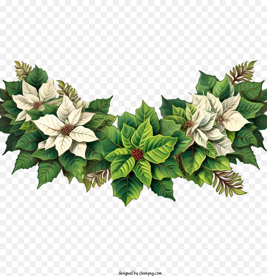 Borde De Flores De Poinsettia，La Flor De Pascua PNG