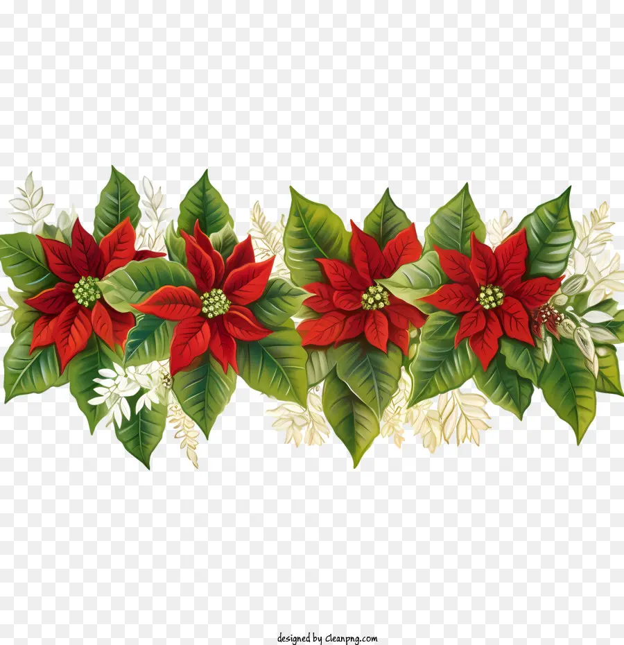 Borde De Flor De Pascua，Flores De Nochebuena PNG