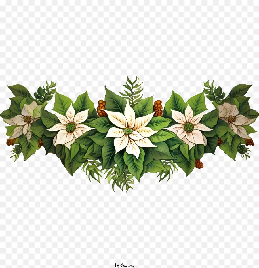 Borde De Flores De Poinsettia，Arreglo De Flores PNG