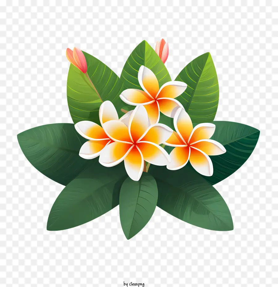 Flor Frangipani，Flores Amarillas PNG