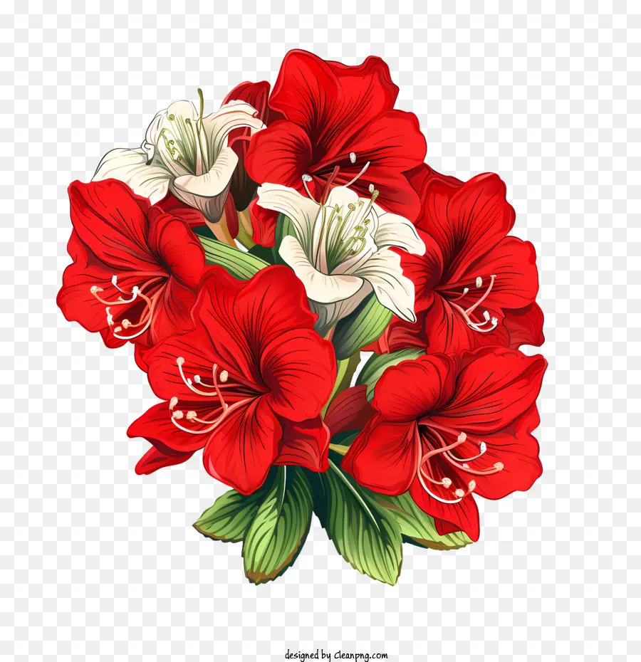 Flor De Amaryllis，Ramo PNG