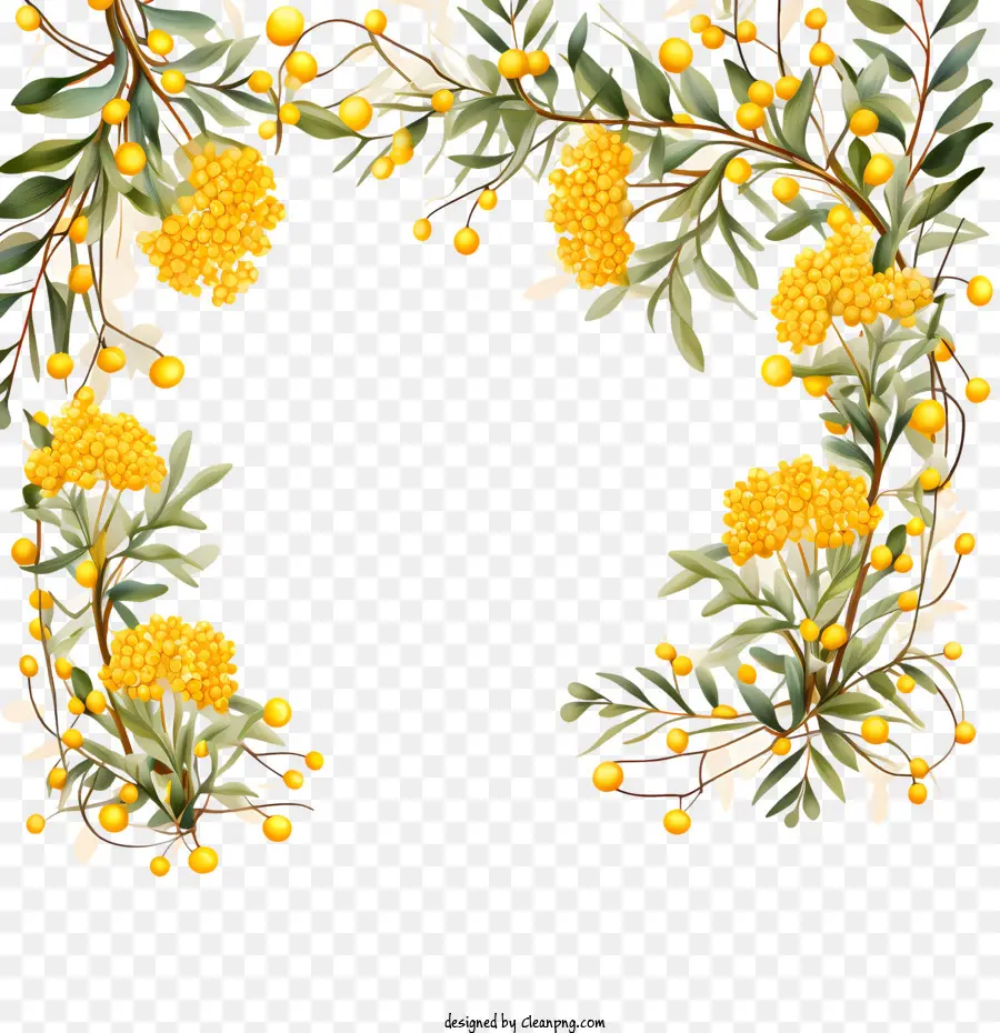 Zarzo De Oro，Floral PNG